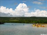 Punta Ballena - GUÁNICA